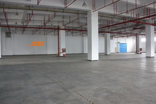 深圳鹽田保稅區(qū) 超大面積倉(cāng)庫(kù)與全鏈倉(cāng)儲(chǔ)物流服務(wù)為您賦能